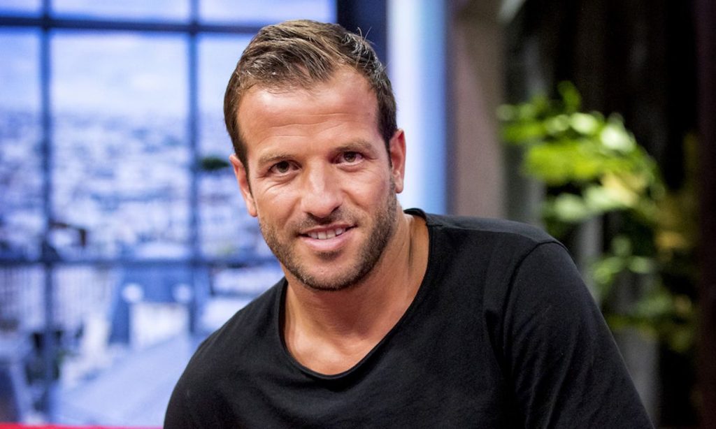 rafael van der vaart anp